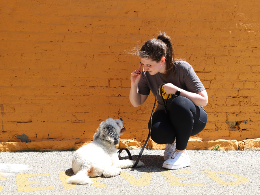 Why Your Dog Pulls on the Leash—and How to Stop It for Good