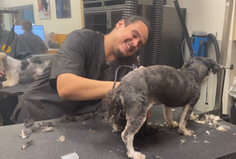 PUPDATE! Meet the Team: Pablo Jimenez, Lead Groomer