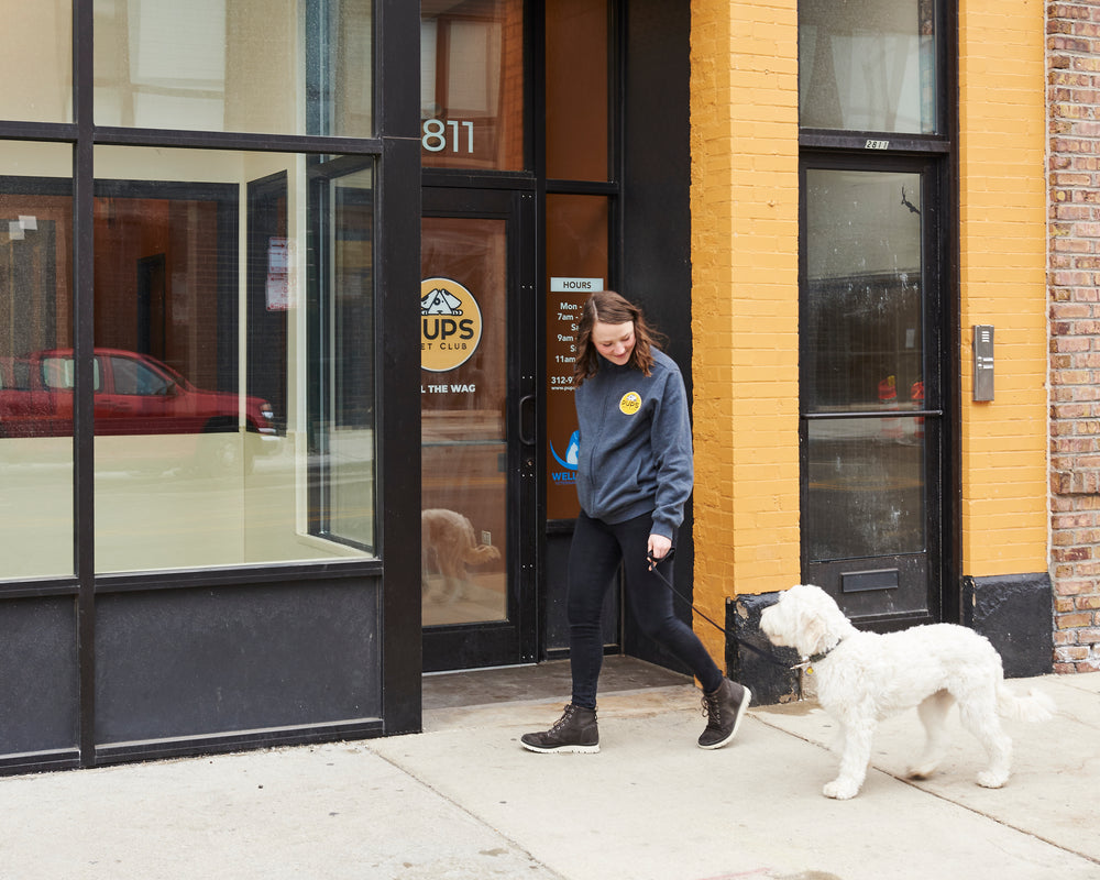 Introducing Dog Walking at PUPS