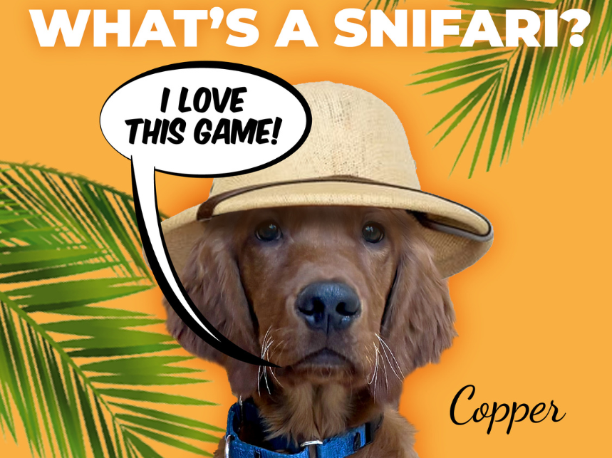 Introducing Snifaris to Our Daycare Curriculum!