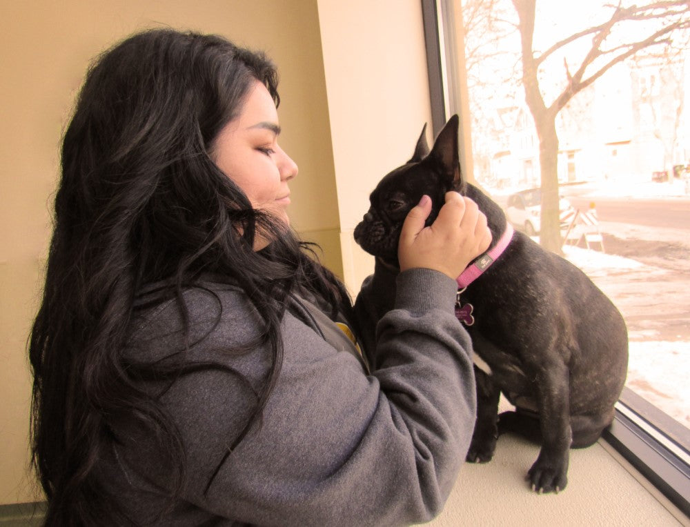 Paws for Thought: The Furry Secret to Mental Well-being