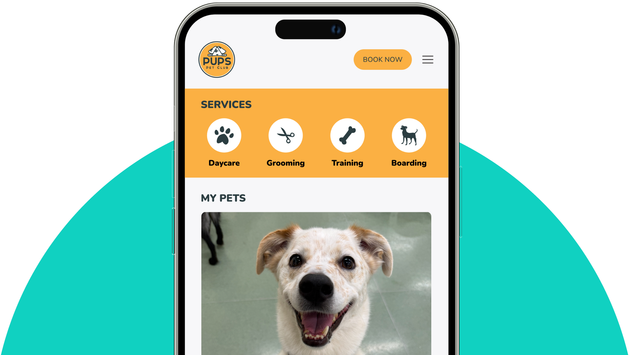 Phone screen displaying a pet care app with a dog photo and service options.