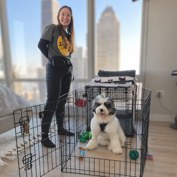 Woman standing next to a dog in a crate with cityscape view through large windows.