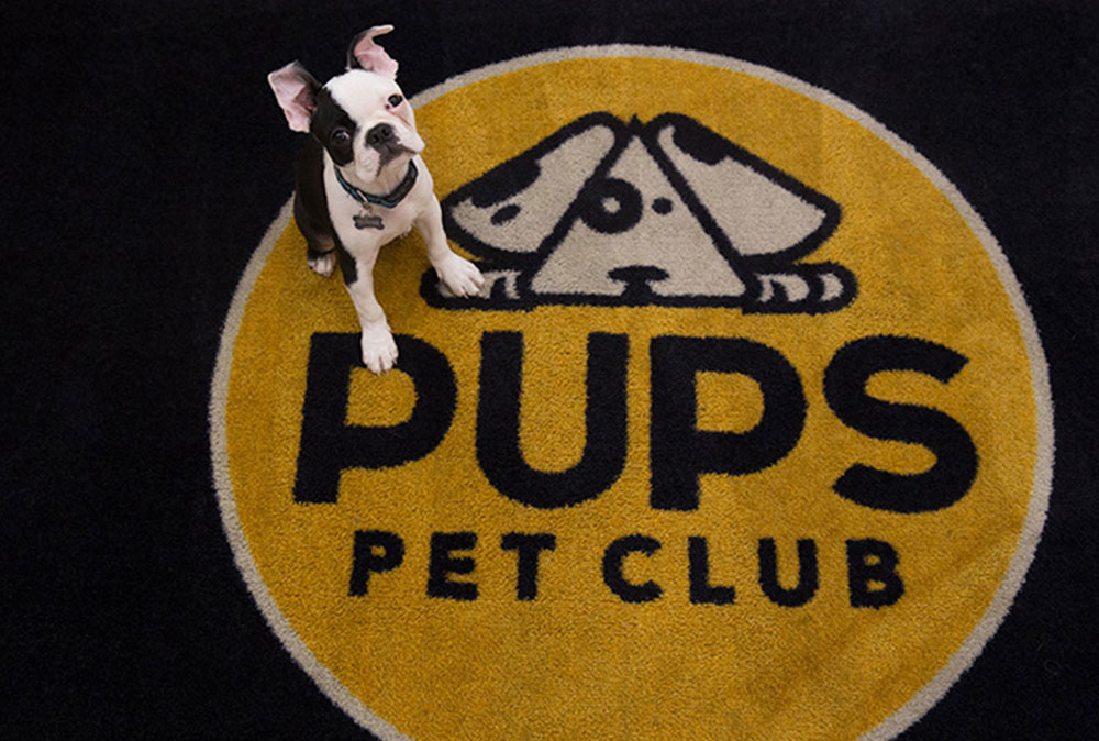 PUPS Pet Club Lakeview