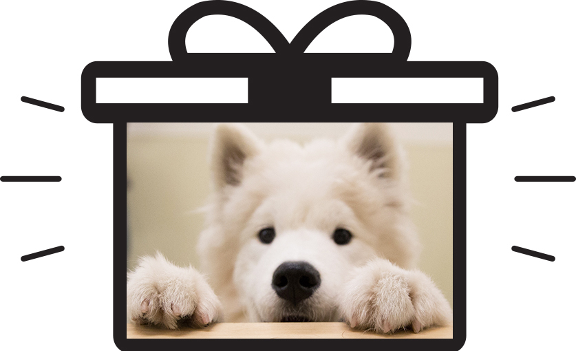 feel-the-wag-gift-option2