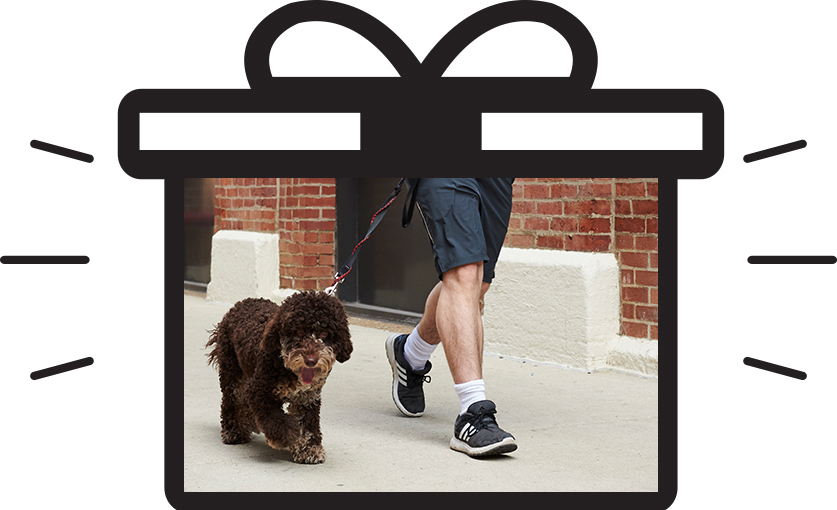 feel-the-wag-gift-option3
