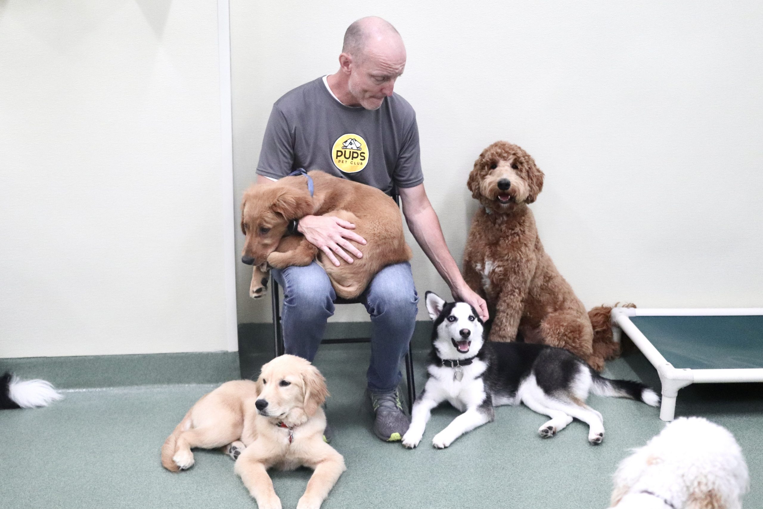 Dog Care in Streeterville Chicago