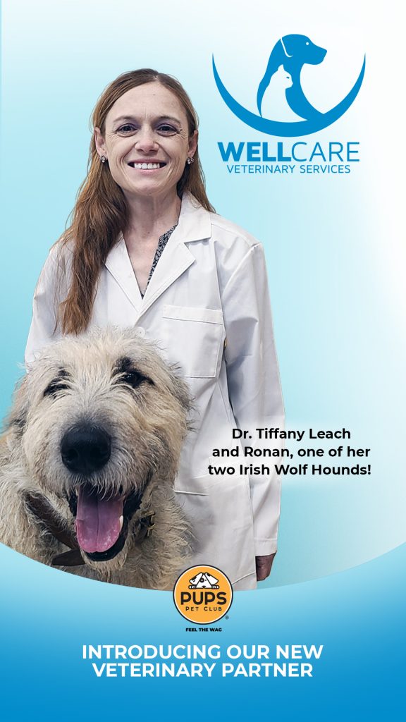 Comprehensive veterinary services, under one roof – that’s something to woof about!