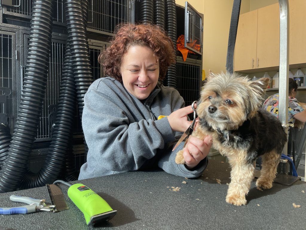 Bark and Beauty go Hand in Tail! Meet Heather, one of our Expert Groomers