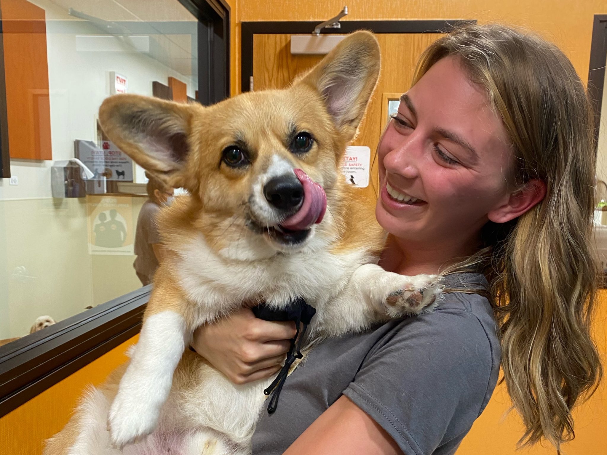 PUPDATE! Meet Samantha (Sam) Lacy: Experienced Dog Trainer