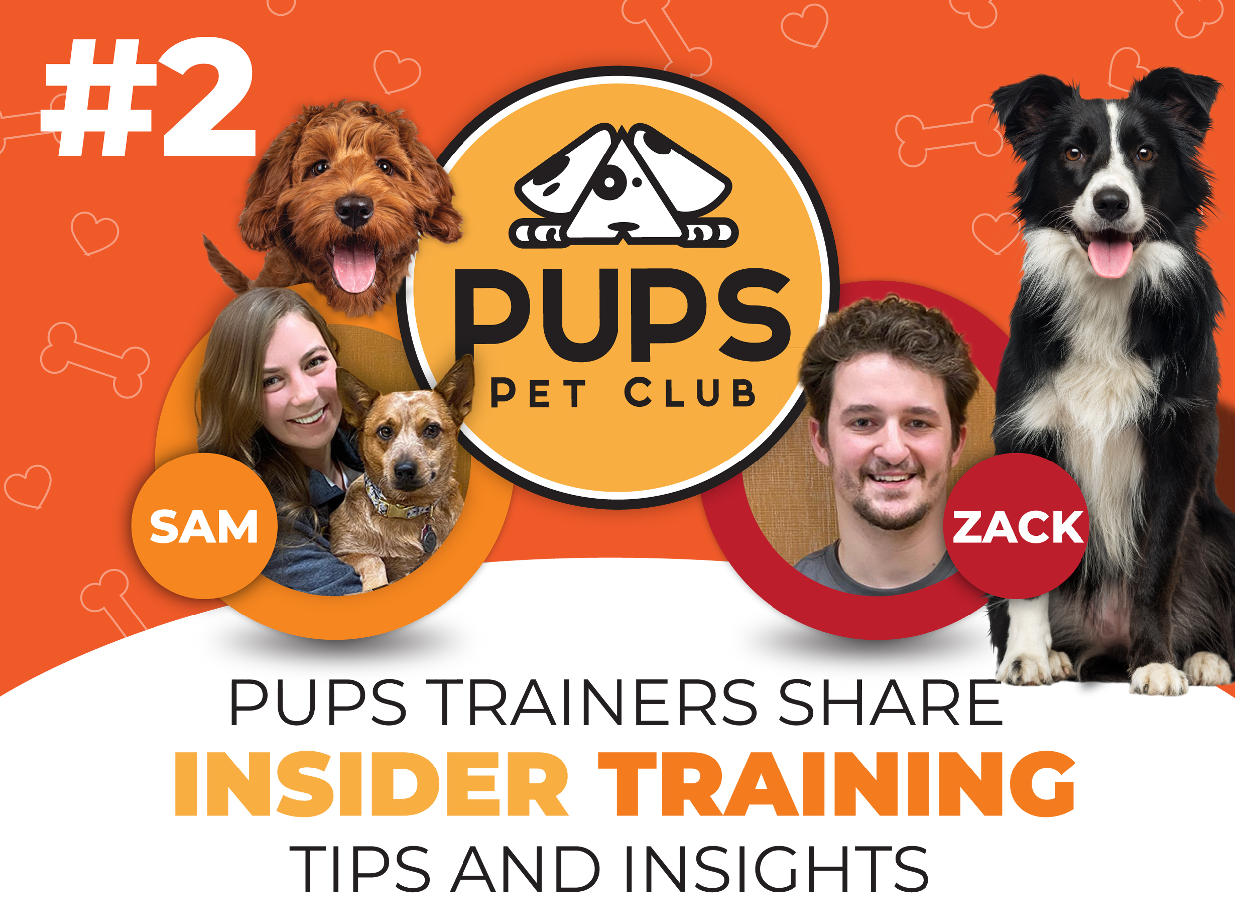 INSIDER TRAINING Setting Your Pup Up For Success PUPS Pet Club
