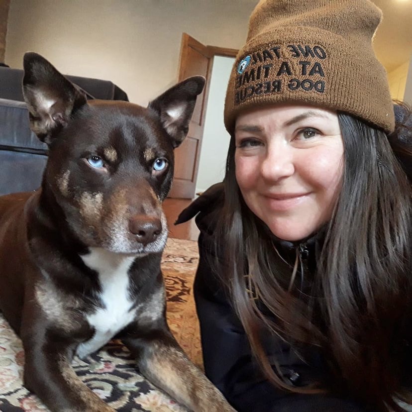 PUPDATE! MEET THE TEAM: Jenni Pstrong, Daycare Attendant and Dog Walker