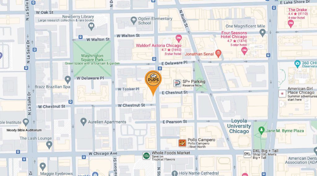 PUPS Pet Club location in Chicago's Gold Coast neighborhood