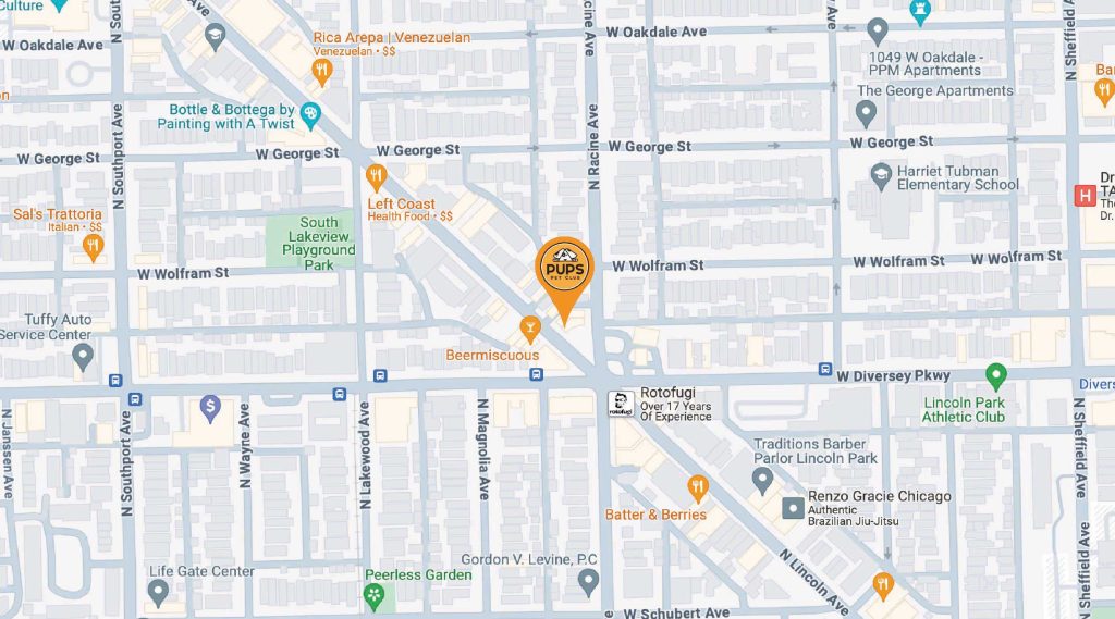 PUPS Pet Club location on the board of Chicago's Lakeview and Lincoln Park neighborhoods