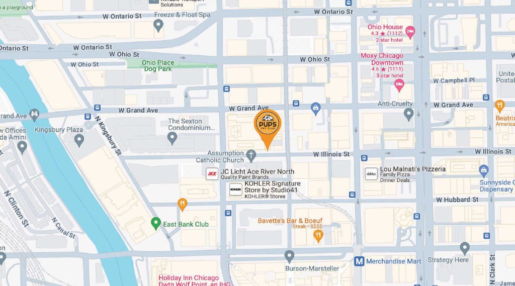PUPS Pet Club location in Chicago's River North neighborhood