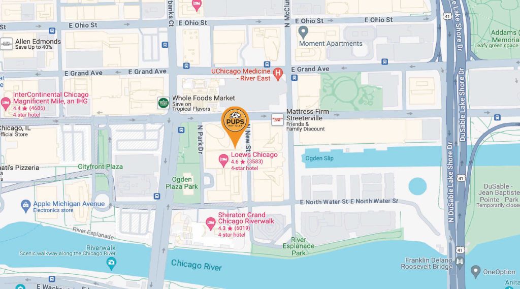 PUPS Pet Club location in Chicago's Streeterville neighborhood