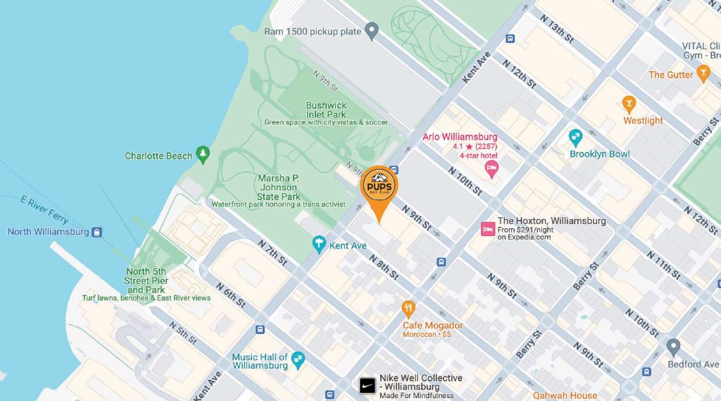 PUPS Pet Club location in Williamsburg Brooklyn