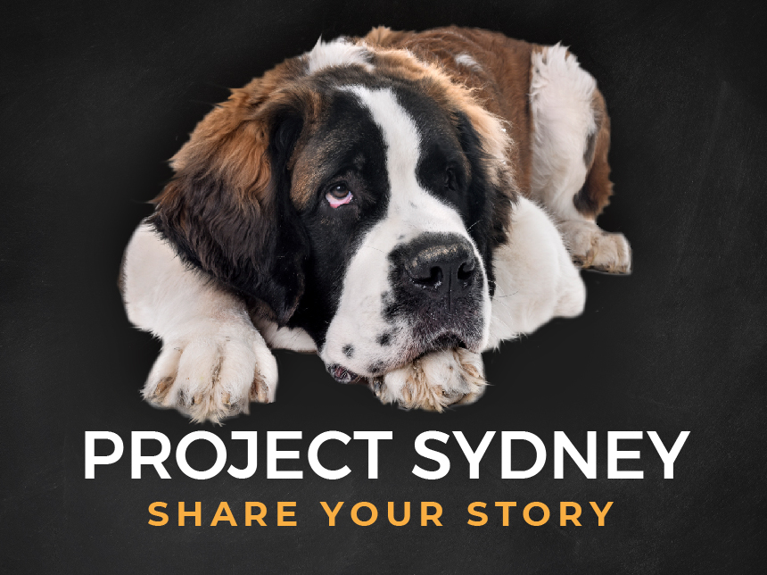 Introducing Project Sydney