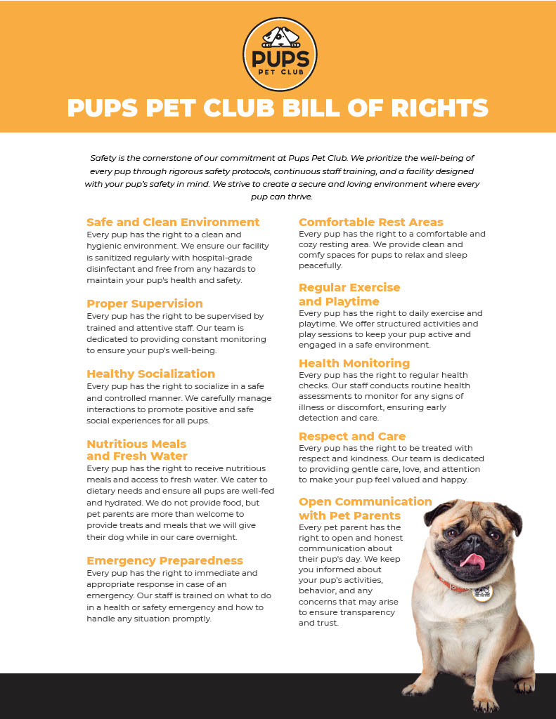 The PUPS Bill of Rights: Our Commitment to Your Pup’s Well-being