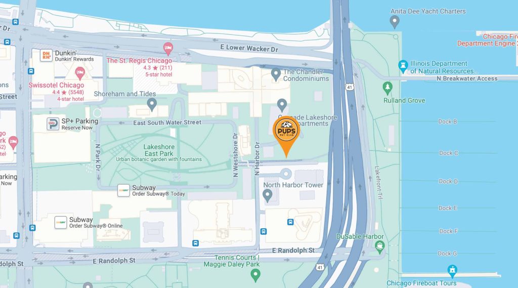 PUPS Pet Club location in Chicago's Lakeshore East/Loop